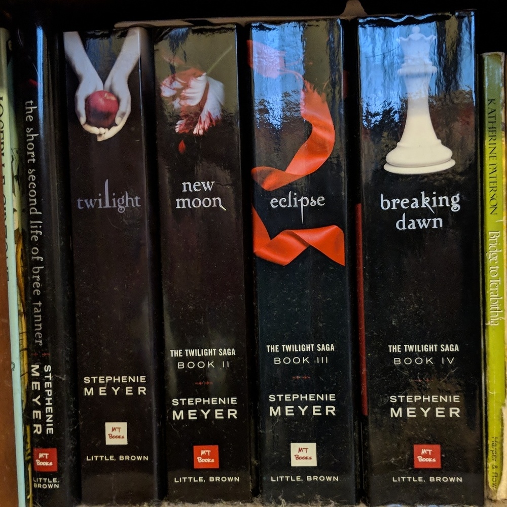 💸FINAL PRICE 💸 Twilight Set